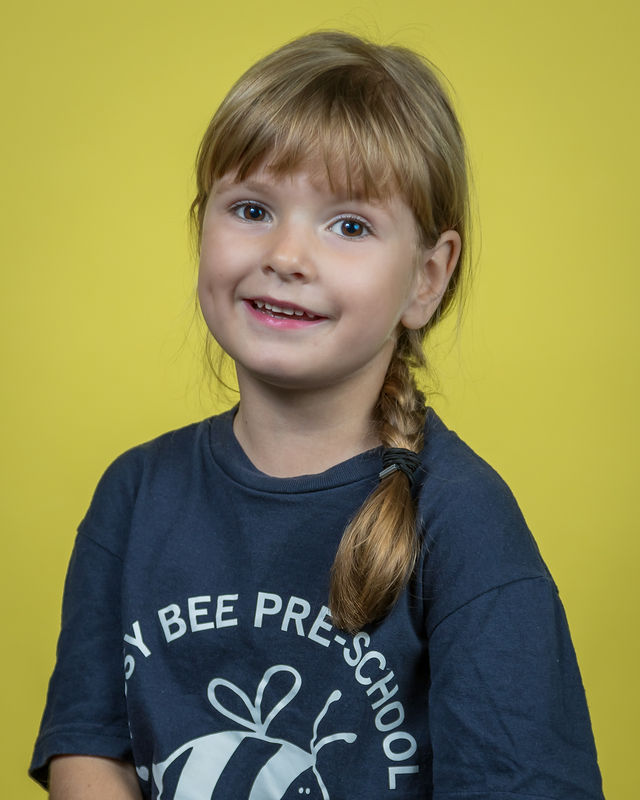 Schools — 26